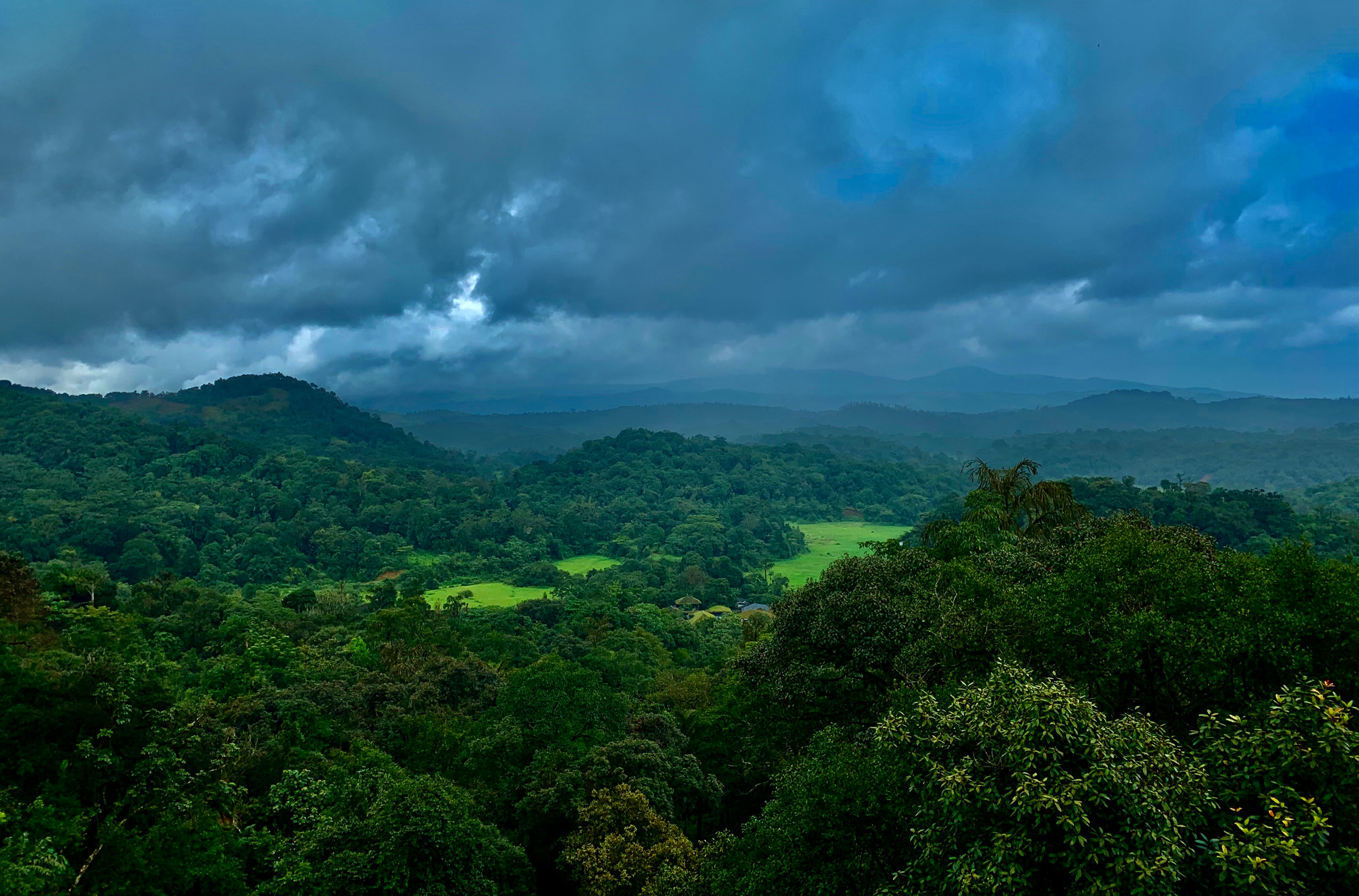 Evening view of the green hills of coorg